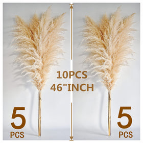 Naunauya pampas grass living room decor for neutral spaces