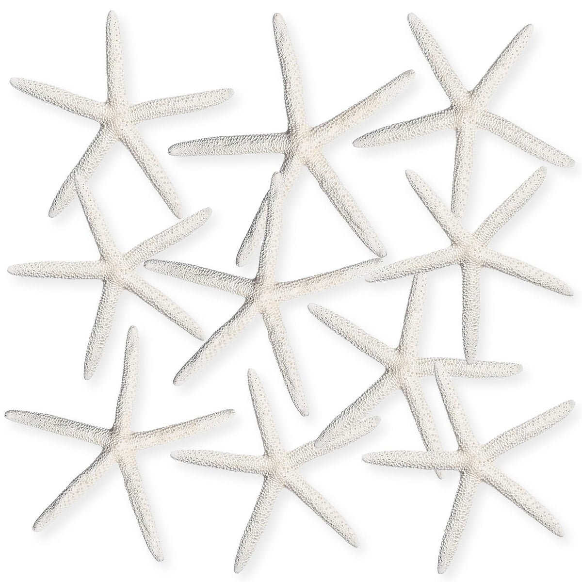 Nautical Crush Trading starfish coastal display 6-8 inch white