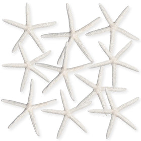 Nautical Crush Trading starfish coastal display 6-8 inch white
