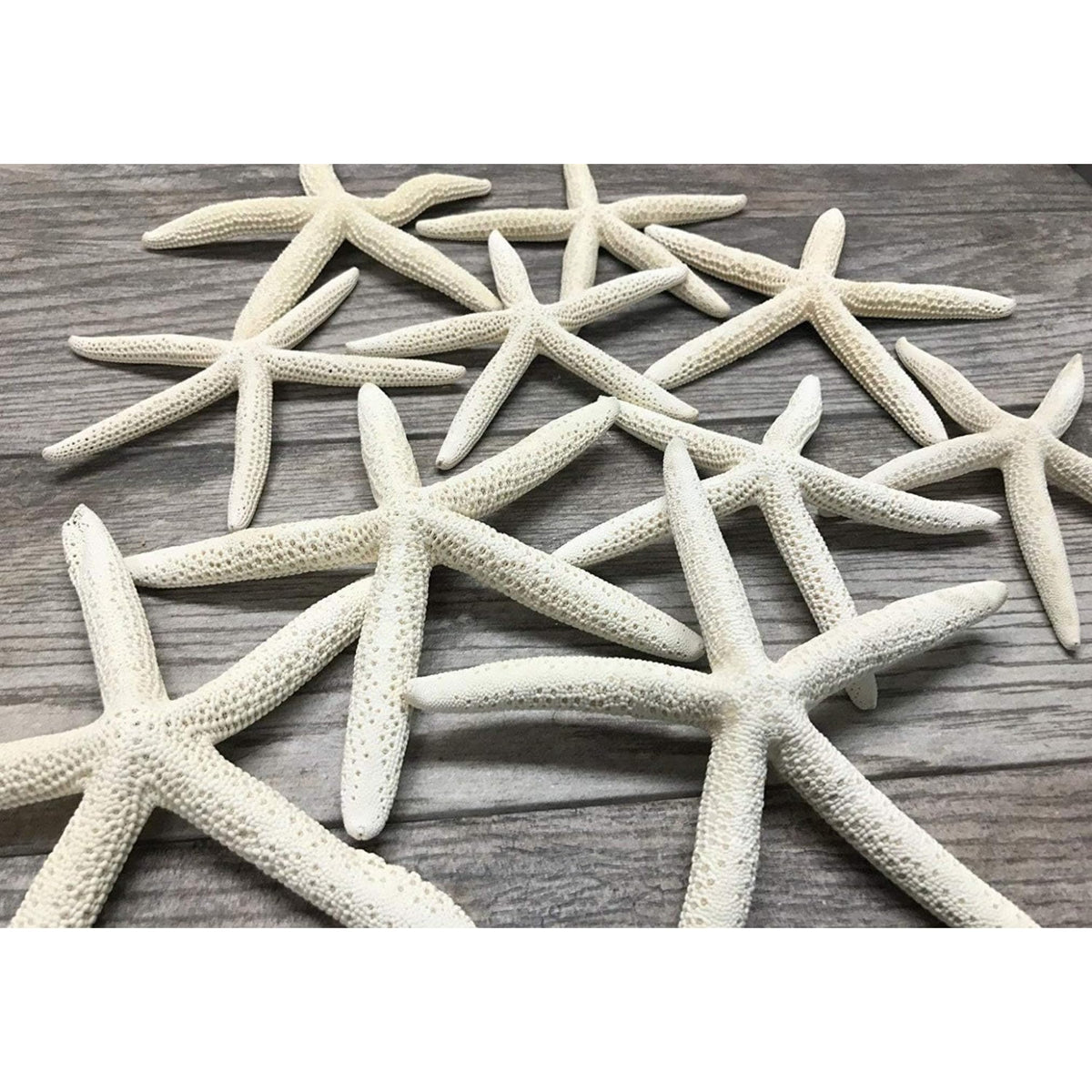 Nautical Crush Trading starfish 6-8 inch white for coastal decor display