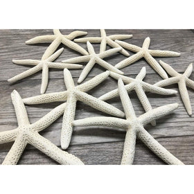 Nautical Crush Trading starfish 6-8 inch white for coastal decor display