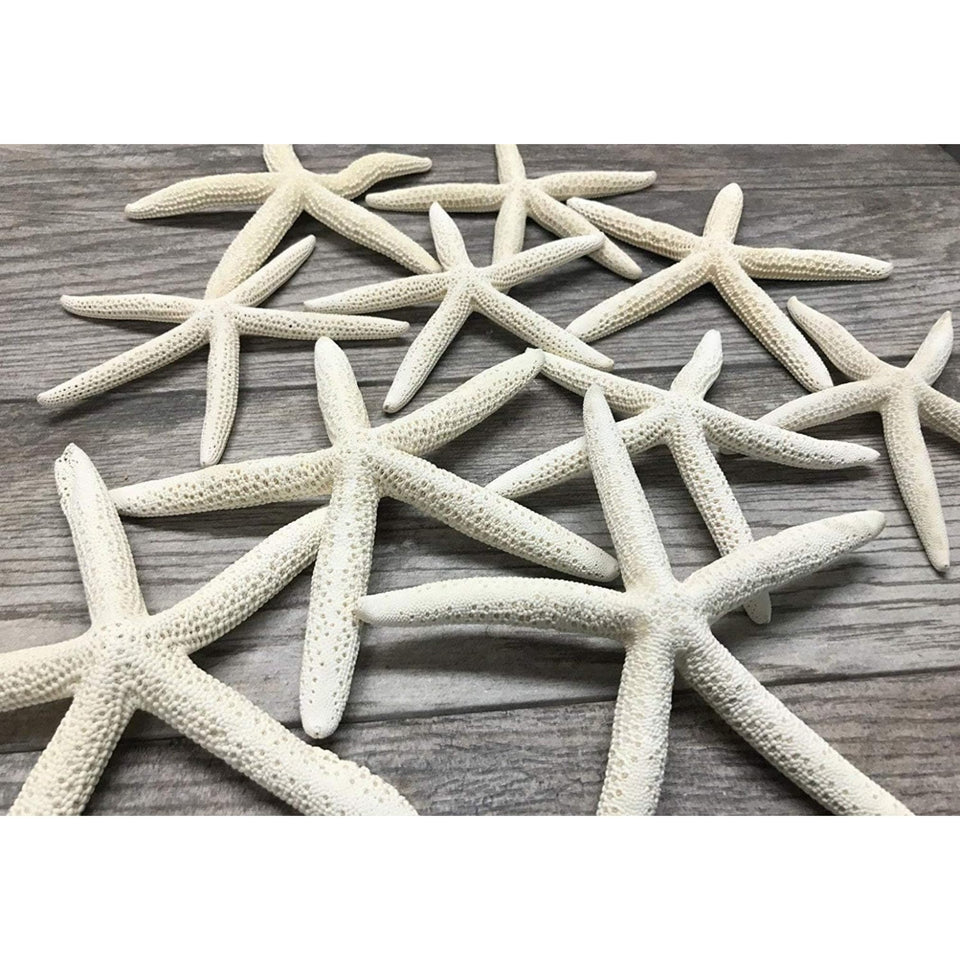 Nautical Crush Trading starfish 6-8 inch white for coastal decor display