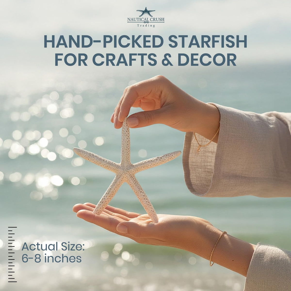 Nautical Crush Trading starfish for wall decor 6-8 inch white natural