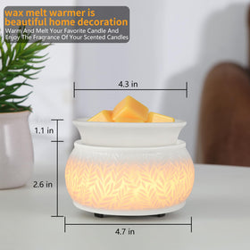 Nawaza removable dish enables easy cleaning after melts