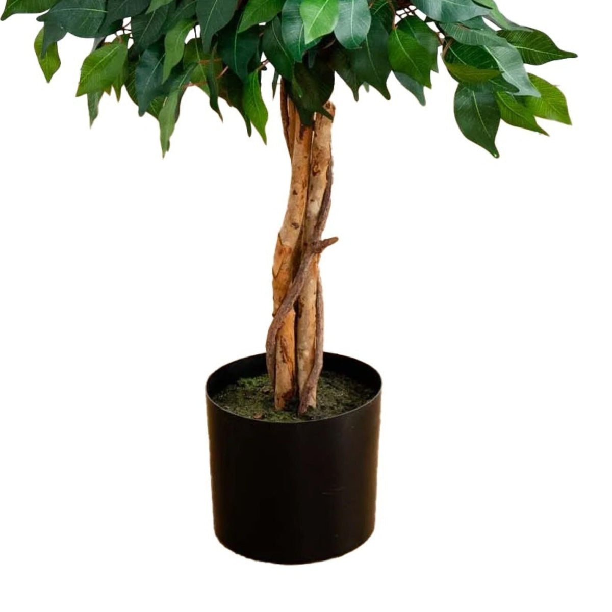 Nearly Natural 4ft triple trunk ficus arrives pre-potted in black planter