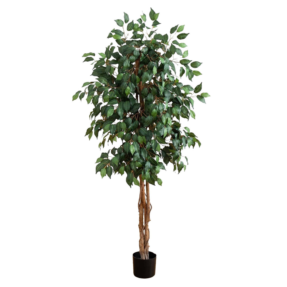 Nearly Natural 5ft Ficus Tree with triple trunks displaying lush evergreen foliage for home décor