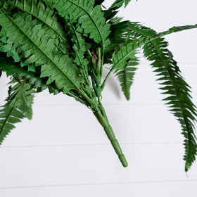 Two Boston ferns in a set offer flexible room placement.