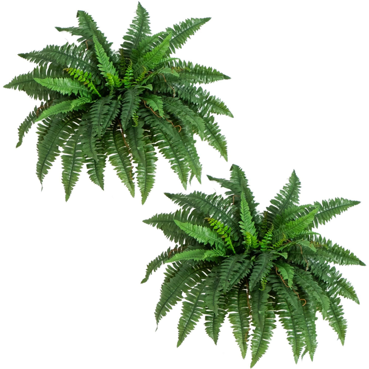 Nearly Natural 40in hanging Boston fern fronds in lush living room display