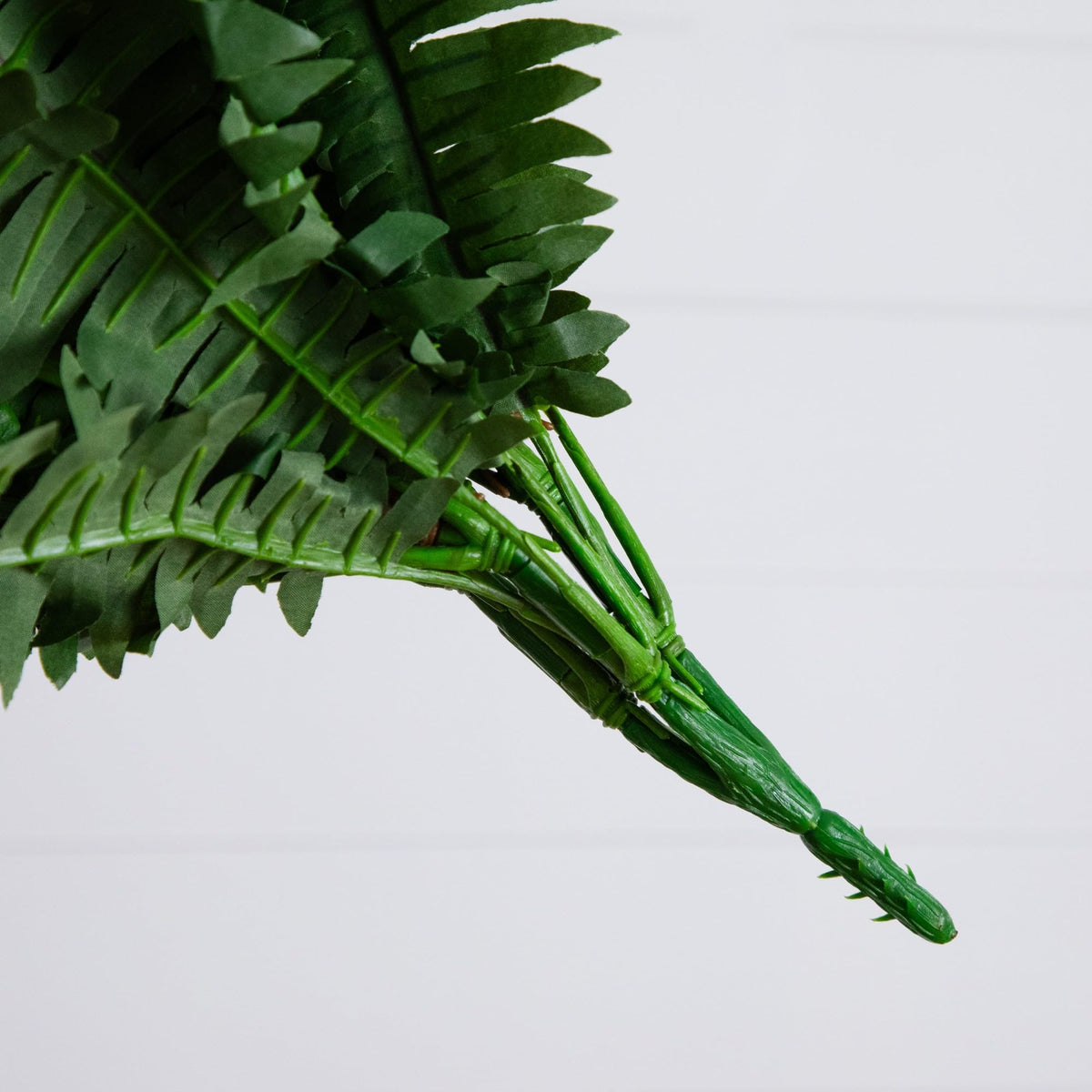 Two-pack fern set adds dramatic, balanced room accents