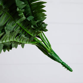 Two-pack fern set adds dramatic, balanced room accents