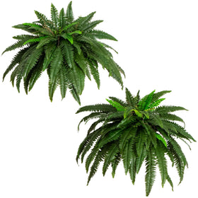 Nearly Natural Boston fern 48in wall display with cascading fronds for stylish decor.