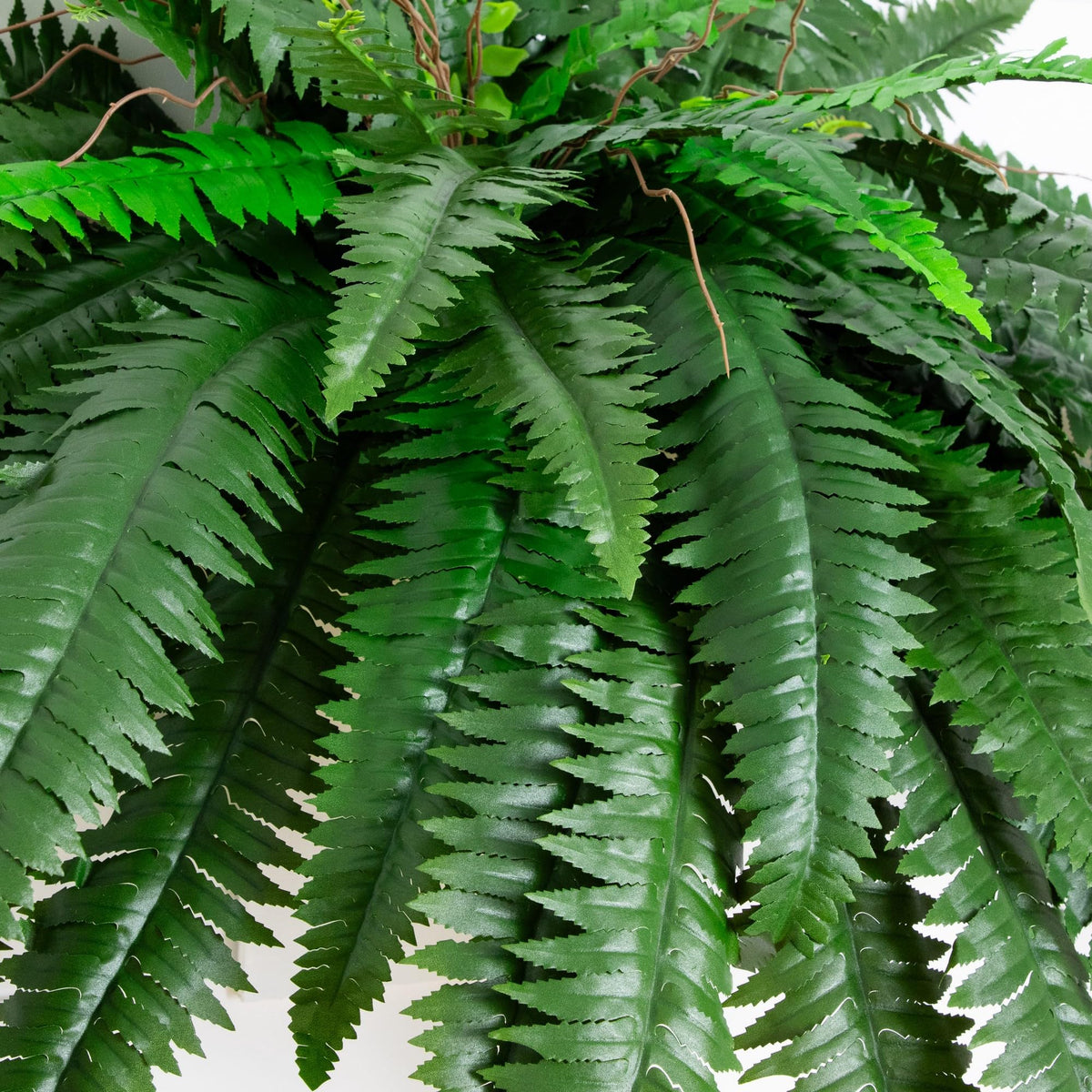 Nearly Natural Boston fern close-up shows realistic leaf texture and density.