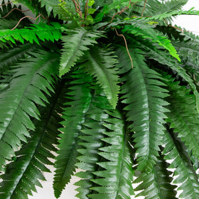 Nearly Natural Boston fern close-up shows realistic leaf texture and density.