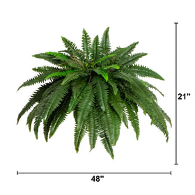 Maintenance-free greenery suitable for bedrooms or offices.