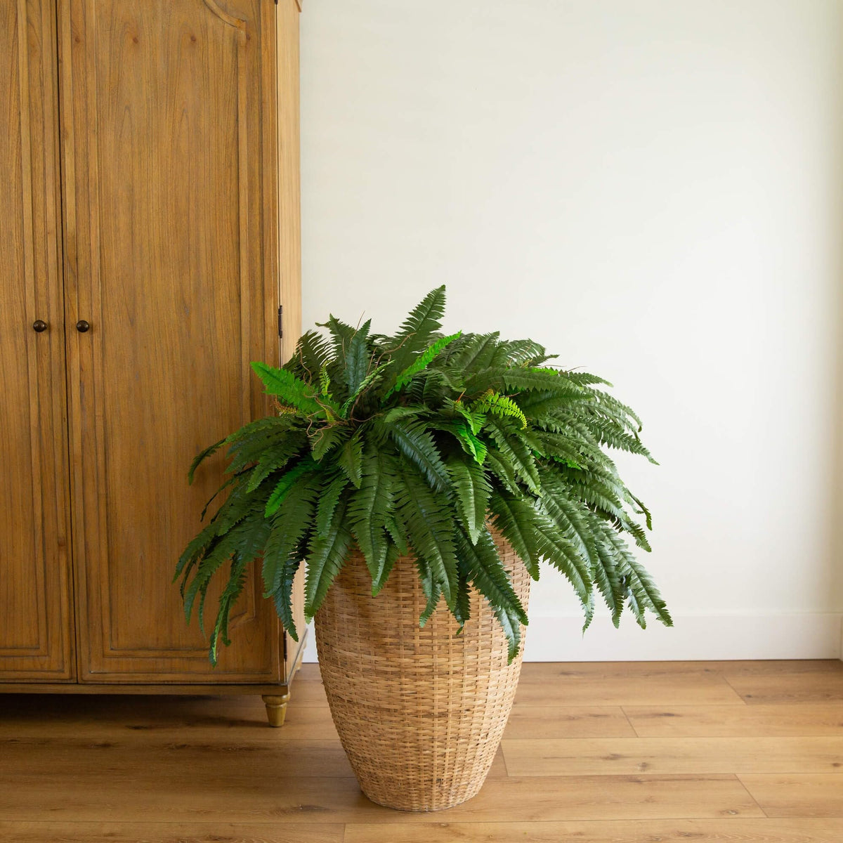 Cascading fronds highlight elegant plant wall decor options.