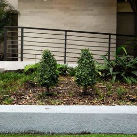 Nearly Natural boxwood topiary 2.5ft architectural greenery for borders or entrances.