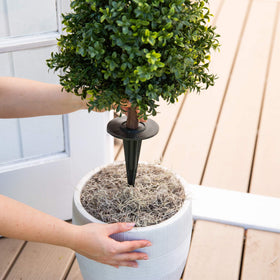 Nearly Natural boxwood topiary indoor foyer display with built-in UV-resistant protection.