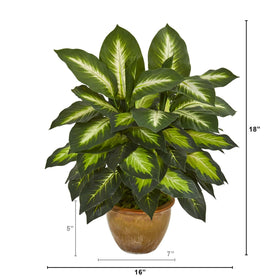 Indoor display of the Dieffenbachia adds a fresh aesthetic to any space.