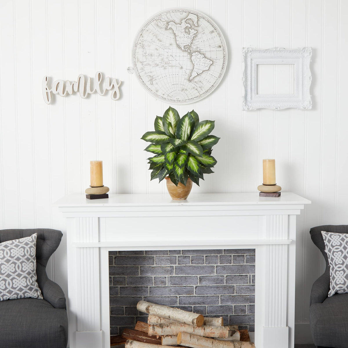Dieffenbachia plant placed in a living room setup for a lush atmosphere.