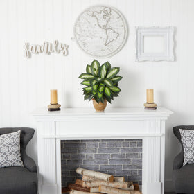 Dieffenbachia plant placed in a living room setup for a lush atmosphere.