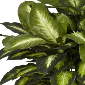 Nearly Natural Dieffenbachia silk plant on a desk enhancing office ambiance