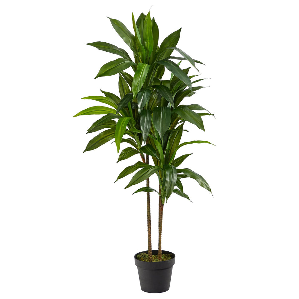Nearly Natural dracaena 48in real touch leaves brighten indoor spaces with maintenance-free elegance.
