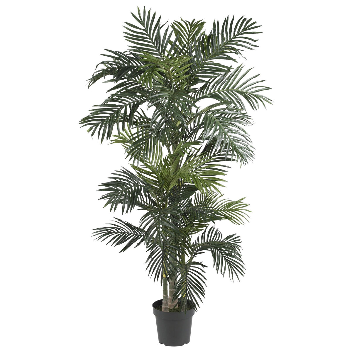 Nearly Natural Golden Cane Palm Tree top fronds create indoor tropical ambiance.