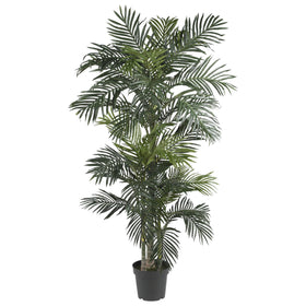 Nearly Natural Golden Cane Palm Tree top fronds create indoor tropical ambiance.