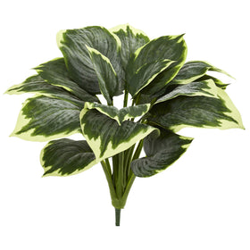 Six-piece Hosta arrangement for fuller decor display.