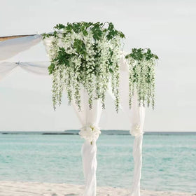 Soft petals and clean look suitable for indoor display with finesse.