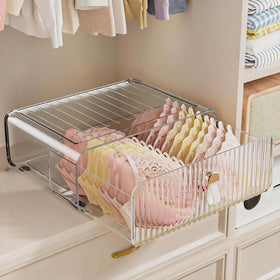 Neprock bra slide-out drawer organizer keeps bras neatly stored and protected.