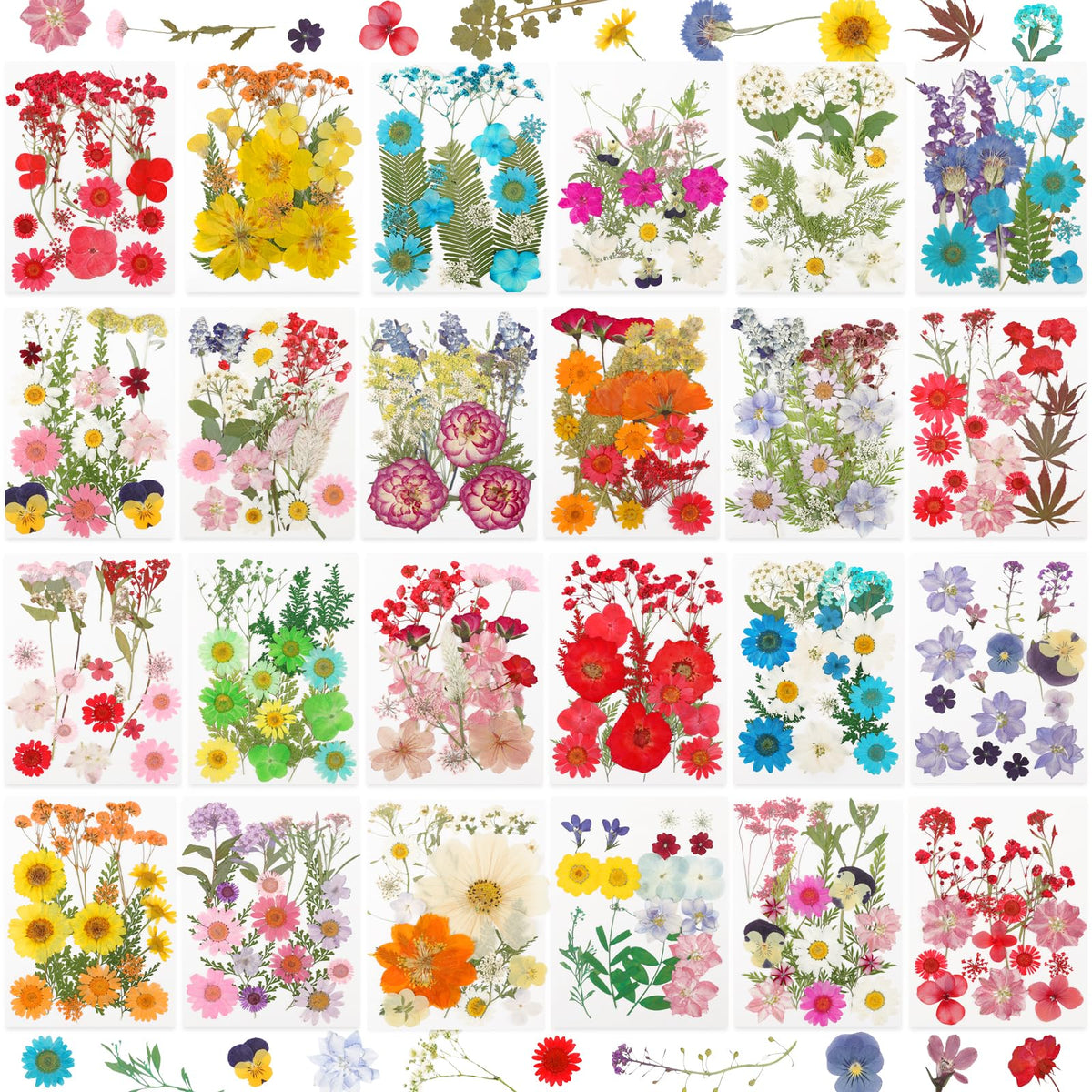 NESCCI 428-pcs pressed flowers for resin kit in vibrant craft-ready colors
