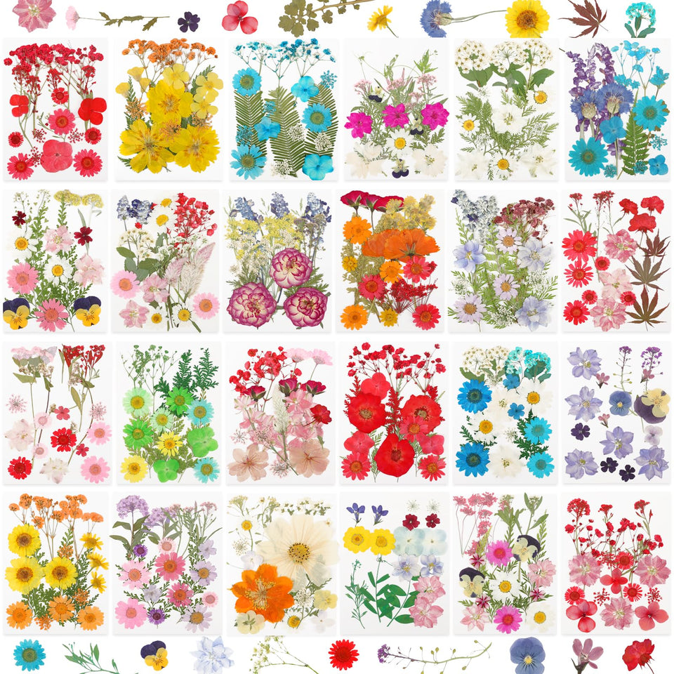 NESCCI 428-pcs pressed flowers for resin kit in vibrant craft-ready colors