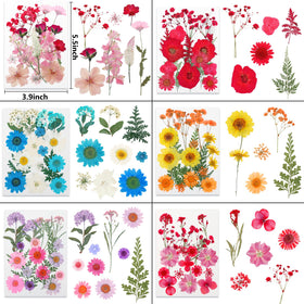 NESCCI dried flowers ideal for scrapbooking and greeting cards