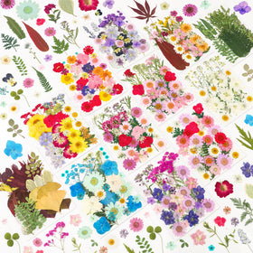 NESCCI pressed flowers collection for resin crafts adds natural color to DIY projects