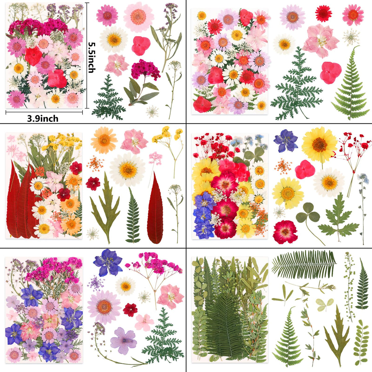 NESCCI pressed flowers for scrapbooking brighten cards and bookmarks