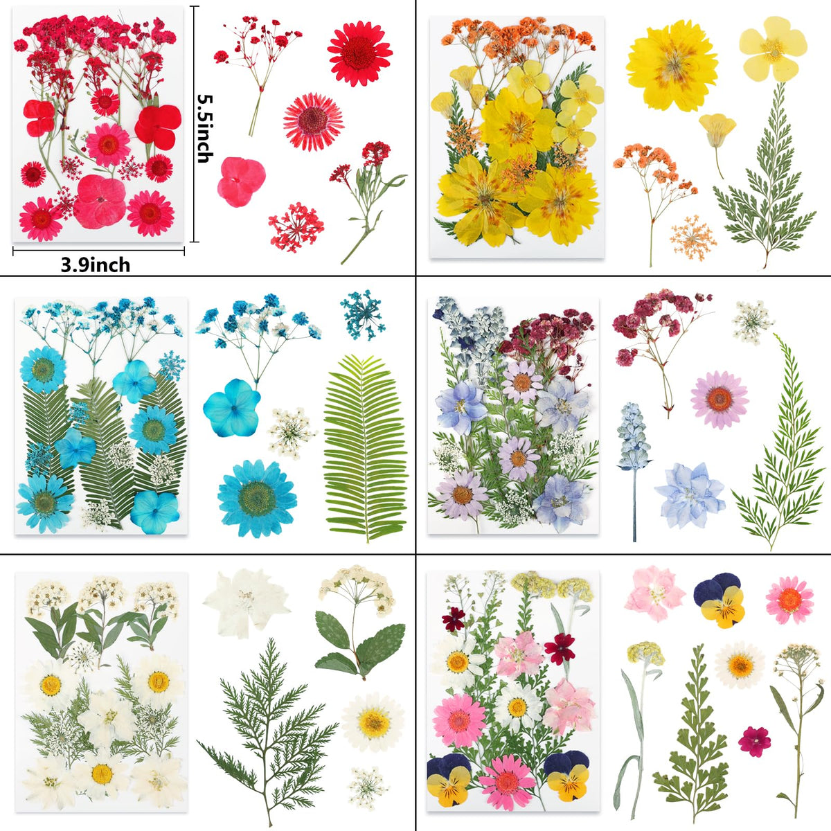 NESCCI vacuum-packaged dried flowers protect integrity during shipping