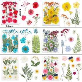 NESCCI vacuum-packaged dried flowers protect integrity during shipping