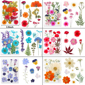 NESCCI variety pressed flowers and leaves for versatile DIY projects