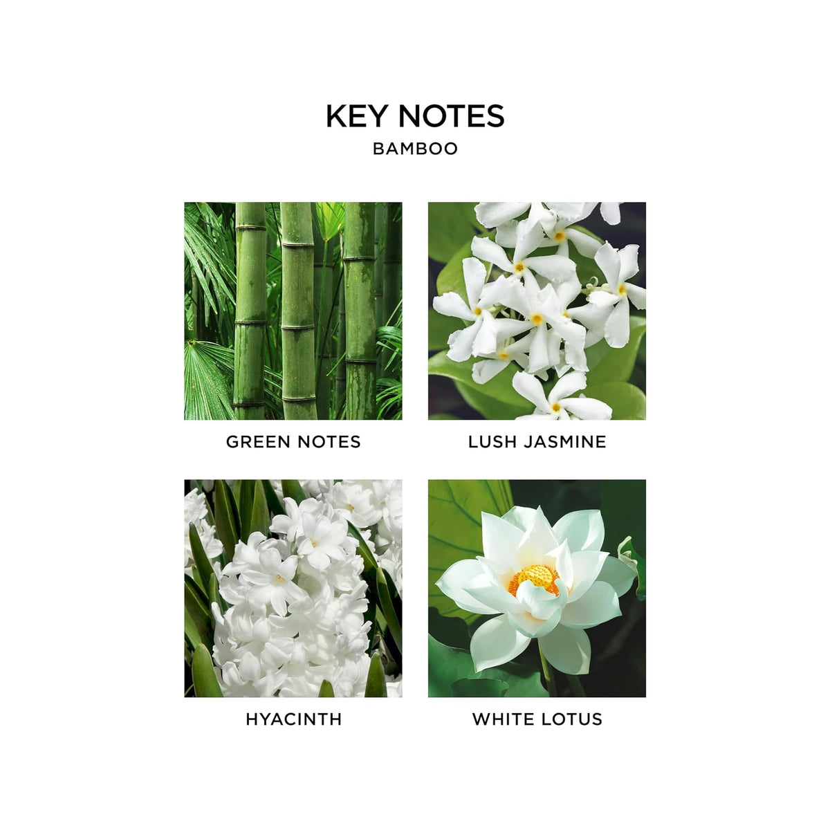 Nest New York Bamboo scent close-up featuring flowering bamboo, white florals, green notes, and citrus.