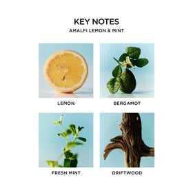 NEST New York Amalfi Lemon & Mint soft glow invites relaxing evenings.
