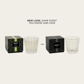 Nest New York Bamboo 3-Wick Candle with frosted stripes adds elegant decor and scent.