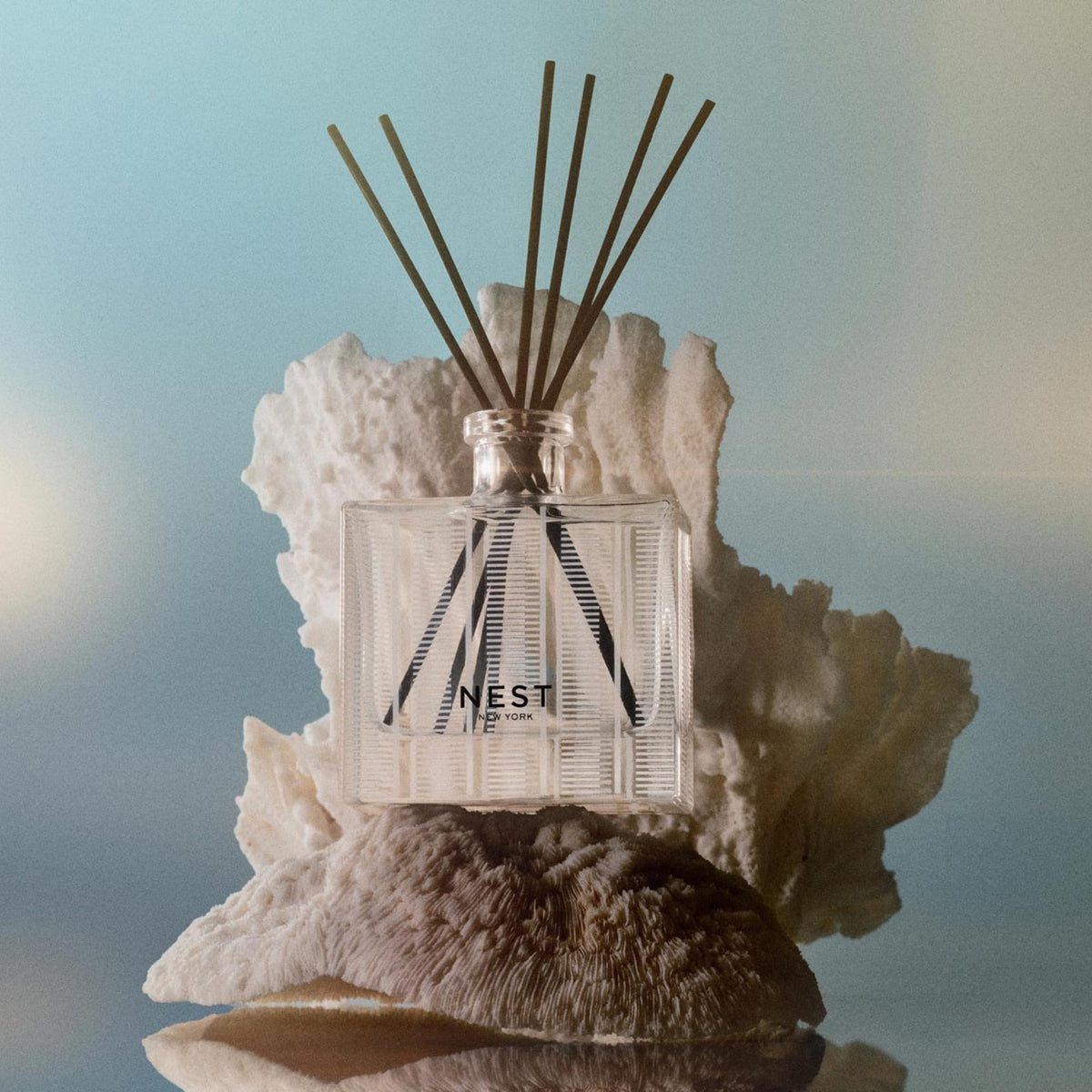 NEST New York eight natural reed sticks enabling customizable scent diffusion