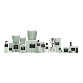 Nest New York wild mint eucalyptus scent profile with herbal notes and spice hints.