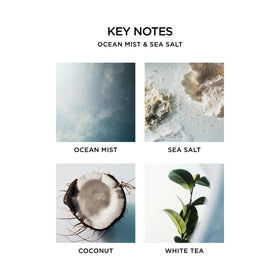 NEST New York Ocean Mist fragrance notes evoke coastal ambience
