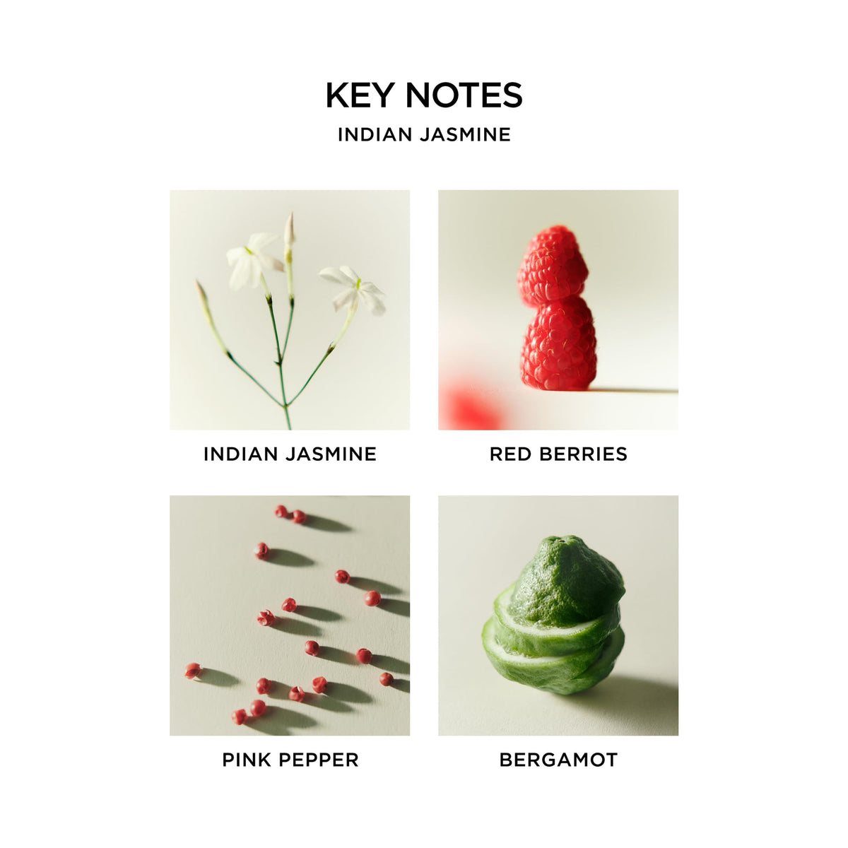 Nest New York fragrance oil bottle detail highlighting clean, cruelty-free formula