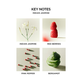 Nest New York fragrance oil bottle detail highlighting clean, cruelty-free formula