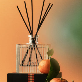 NEST New York glass vessel close-up highlighting reusable, refillable design.