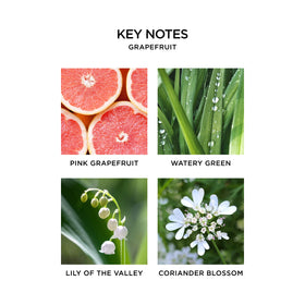 Nest New York Grapefruit refill provides up to 30 days of citrus scent.
