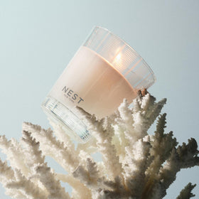 NEST New York Ocean Mist & Sea Salt candle in glass warms a room with long burn